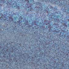 Speedball Lavender Mist SB-2107