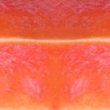 Speedball Living Coral SB-2131